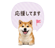 841341829