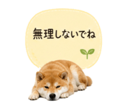 841341830