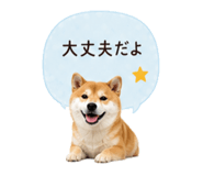 841341833