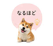 841341836