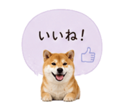 841341840
