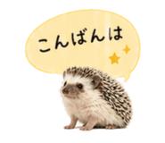 841342739
