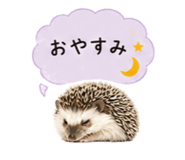 841342740