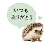 841342745