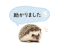 841342746