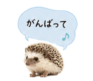 841342749