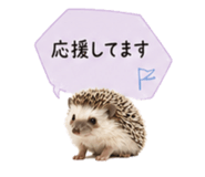 841342752