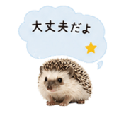 841342754