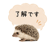 841342755
