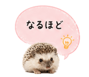 841342757