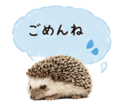 841342758