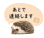 841342760