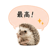841342762