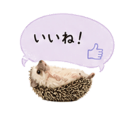 841342765