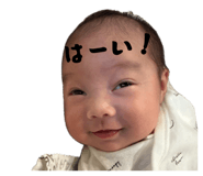 841342816