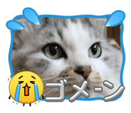 841343091