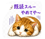 841343166