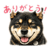 841343395