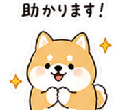 841343433