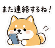 841343447