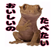 841343884