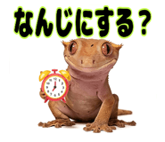 841343892