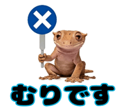 841343894