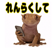 841343895