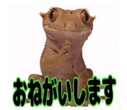 841343898