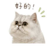 841348914