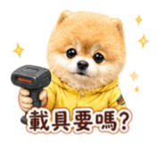 841349619