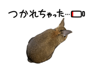841350113