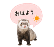 841350329
