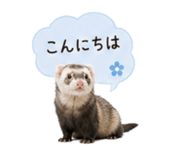 841350330