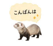 841350331