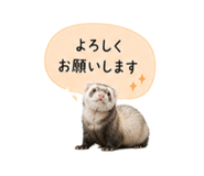 841350334