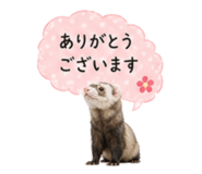 841350336