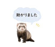841350338