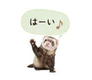 841350348