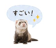 841350351