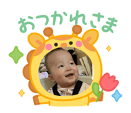 841350566