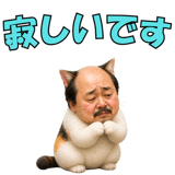 841351416