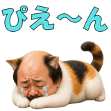 841351417