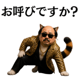 841351446