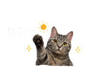 841354049