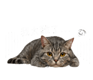 841354050