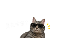 841354053
