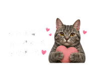 841354055