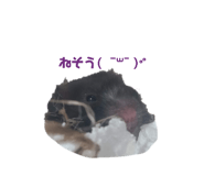 841354292