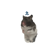 841354295